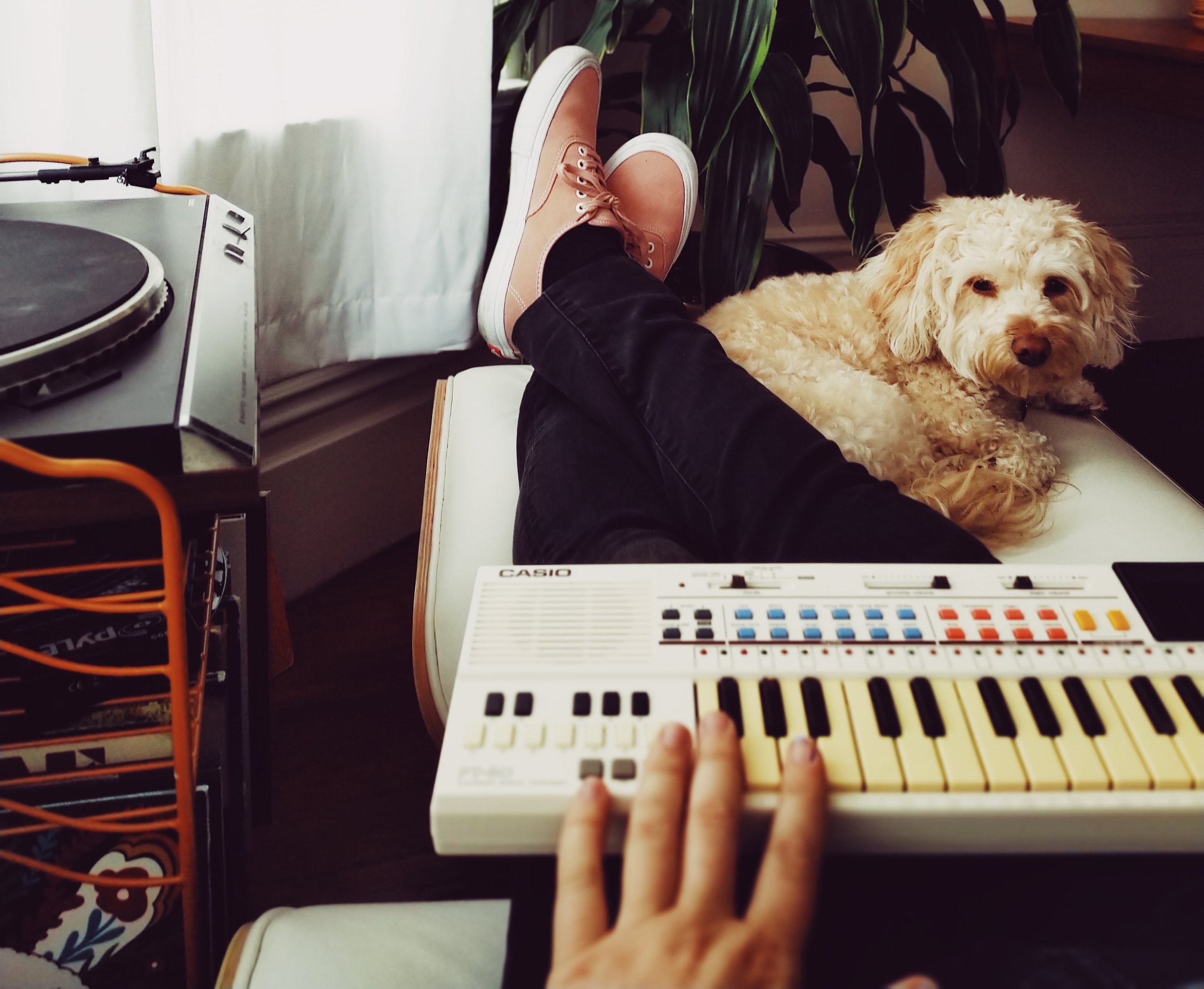 A dog and a Casio Synth